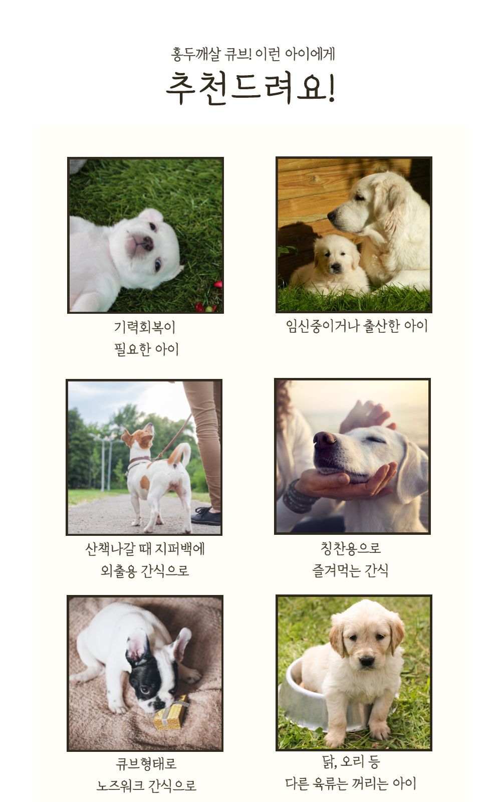[무료배송][5개] 까까묵자 쇠고기 큐브 40g 4번째