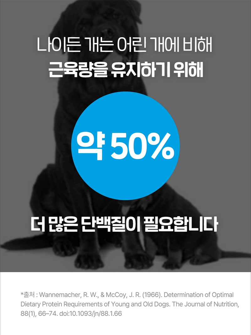 [NEW신상][무료배송] 닥터뉴토 독 탄단지 프로틴 케어 펫밀크 오리지널 관절건강 180ml*10개 21번째