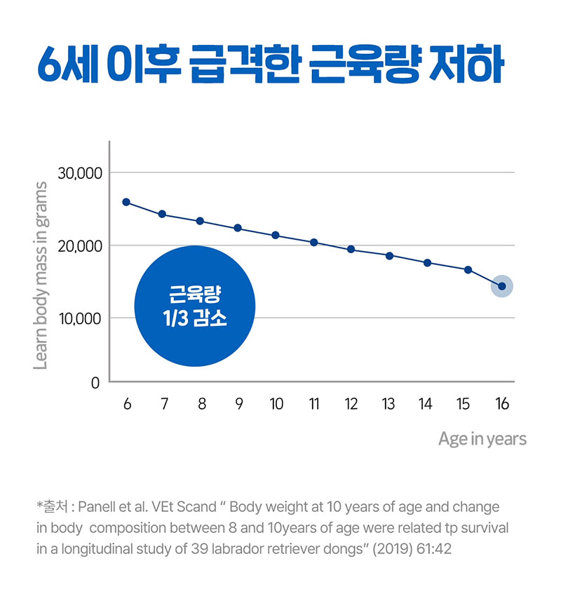 [NEW신상][무료배송] 닥터뉴토 독 탄단지 프로틴 케어 펫밀크 오리지널 관절건강 180ml*10개 20번째
