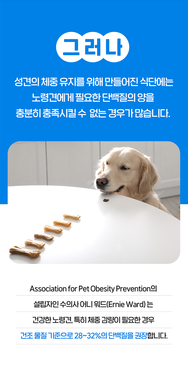 [NEW신상][무료배송] 닥터뉴토 독 탄단지 프로틴 케어 펫밀크 오리지널 관절건강 180ml*10개 22번째