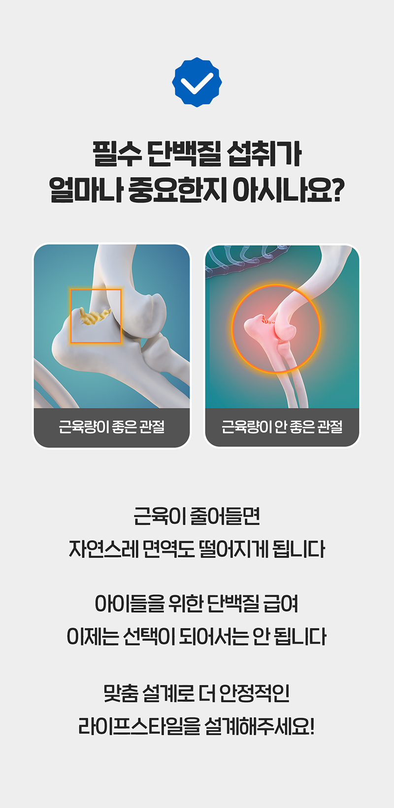 [NEW신상][무료배송] 닥터뉴토 독 탄단지 프로틴 케어 펫밀크 오리지널 관절건강 180ml*10개 19번째