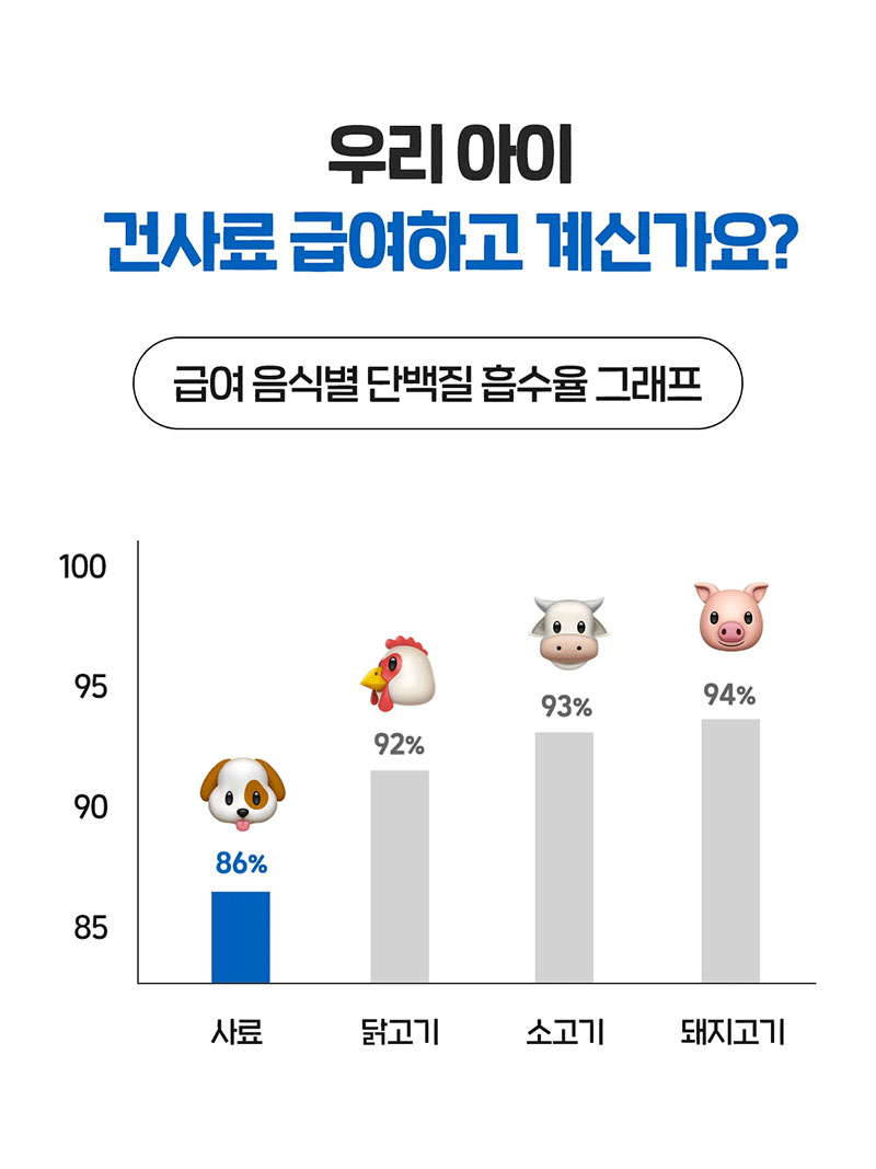 [NEW신상][무료배송] 닥터뉴토 독 탄단지 프로틴 케어 펫밀크 오리지널 관절건강 180ml*10개 12번째