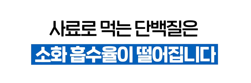 [NEW신상][무료배송] 닥터뉴토 독 탄단지 프로틴 케어 펫밀크 오리지널 관절건강 180ml*10개 8번째