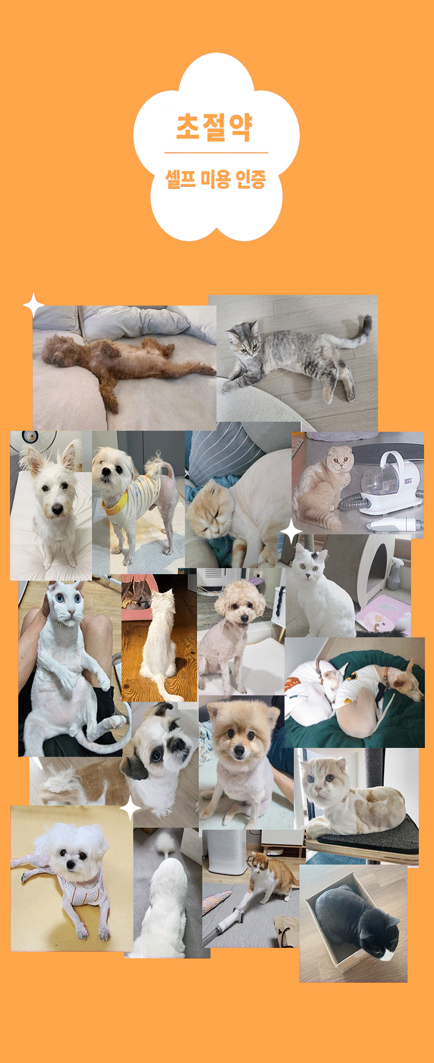 [NEW신상][무료배송] 럽마이펫 7in1 미용기 시즌 2 7번째