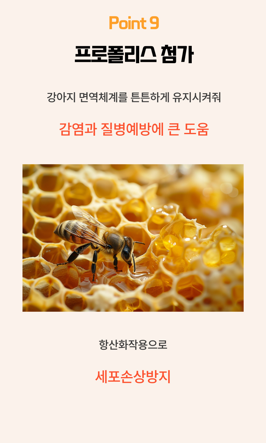 [NEW신상][무료배송] 댕그래 올드독 100g 16번째