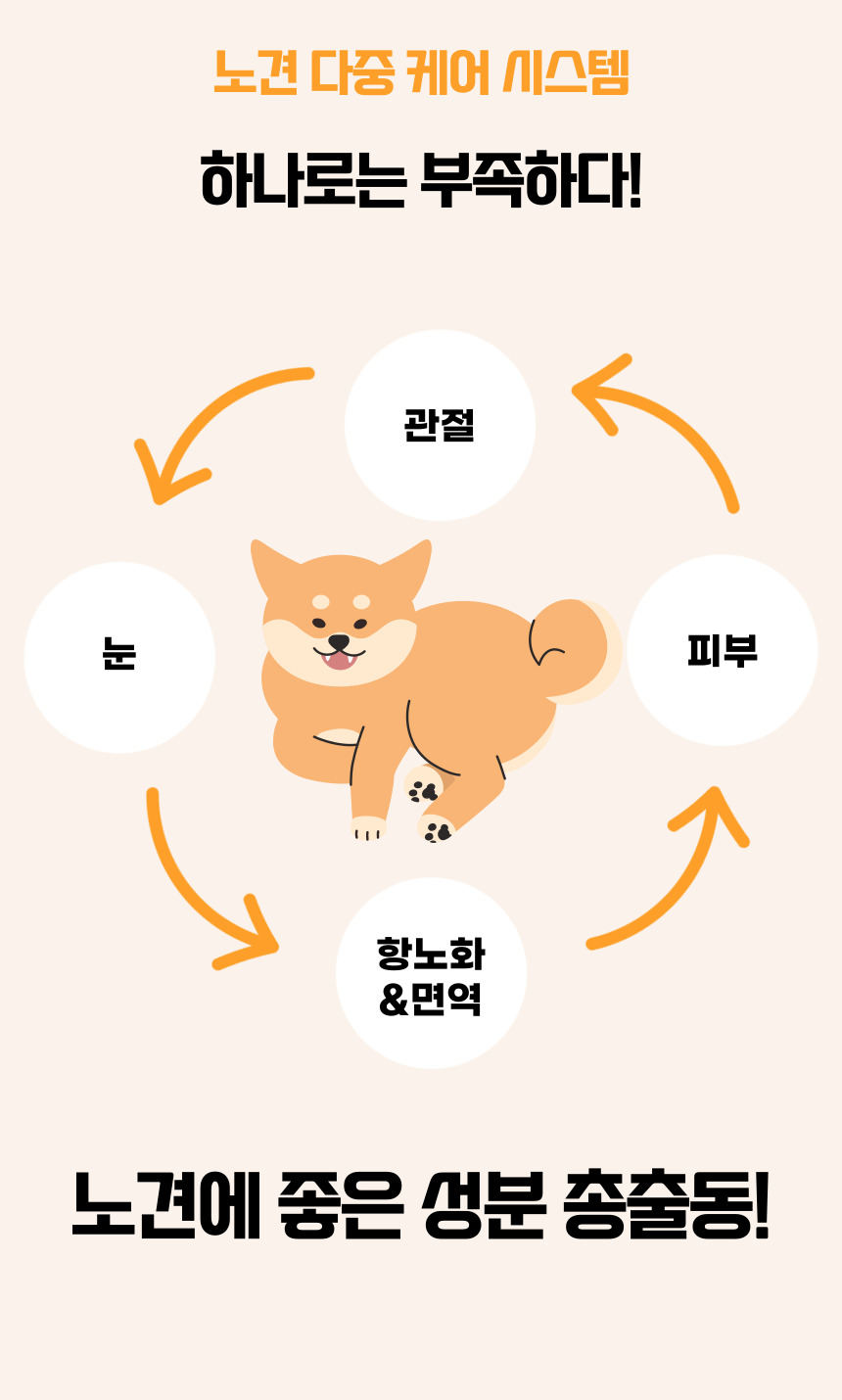 [NEW신상][무료배송] 댕그래 올드독 100g 7번째