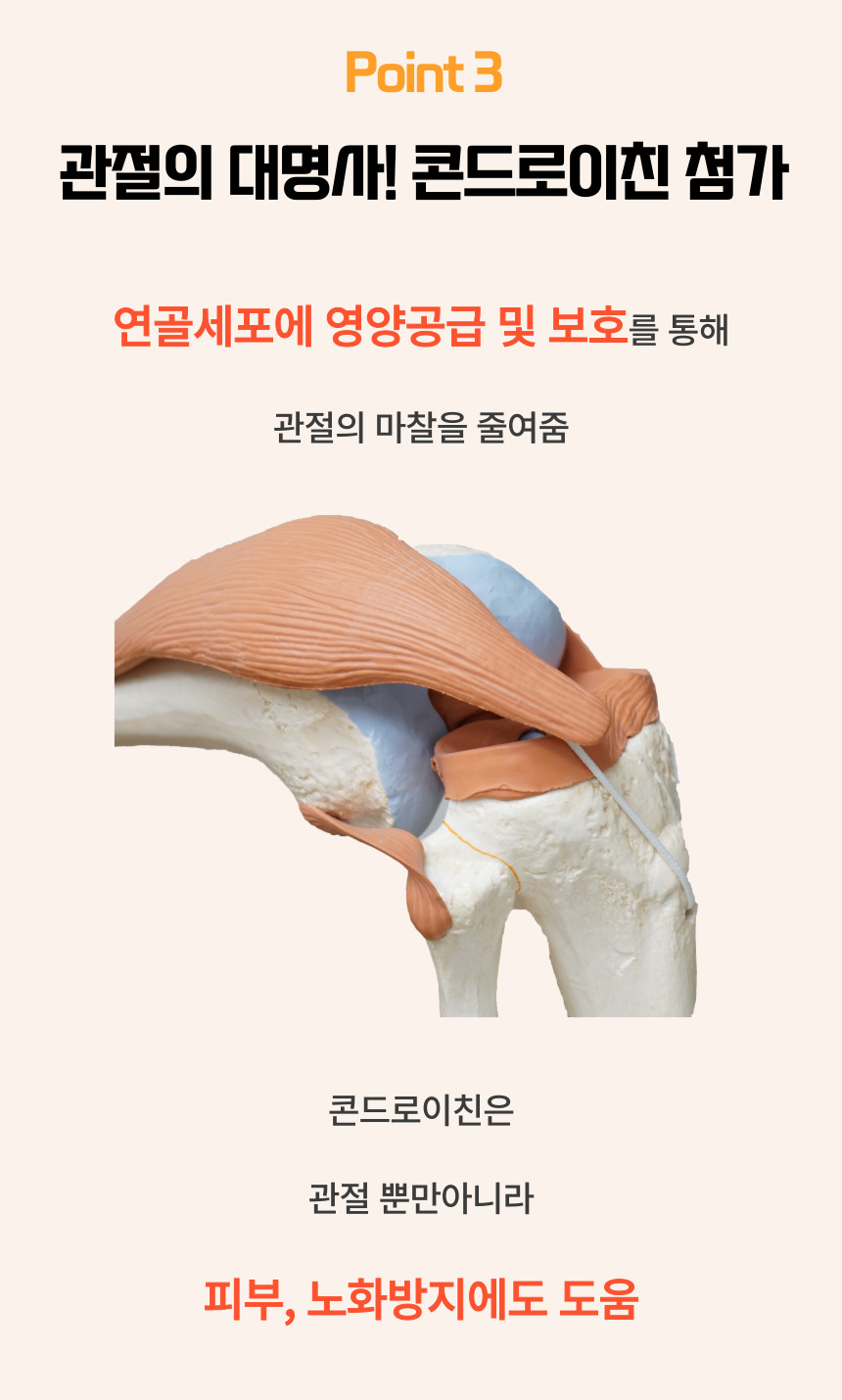[NEW신상][무료배송] 댕그래 올드독 100g 10번째