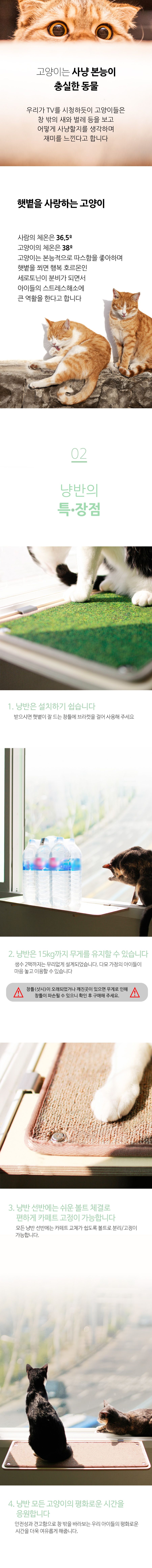 [무료배송] 뽀떼 냥반 I 2번째