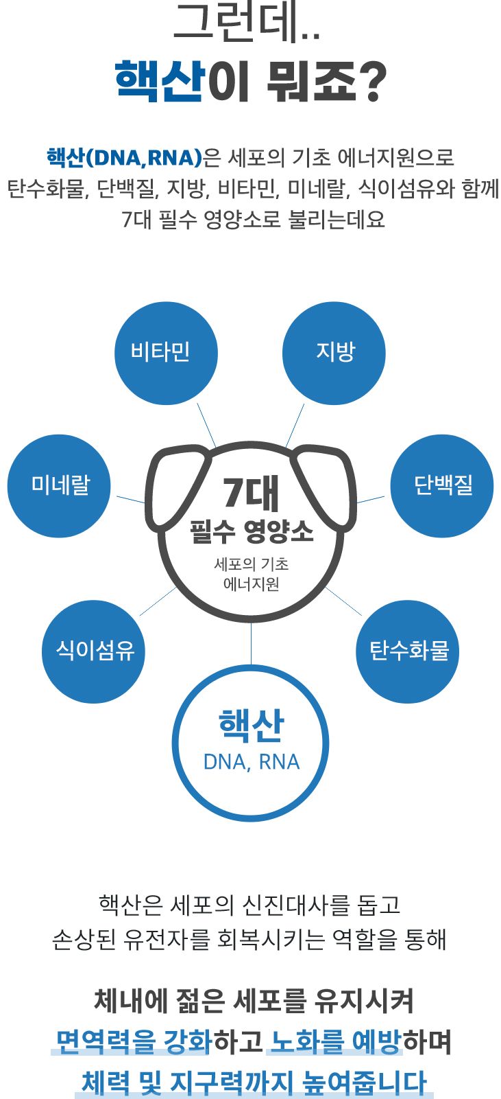 [무료배송] 펫산 독 핵산 영양제 2g*30p 5번째