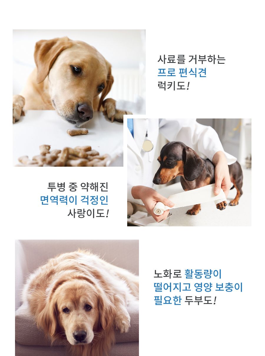 [무료배송] 펫산 독 핵산 영양제 2g*30p 2번째