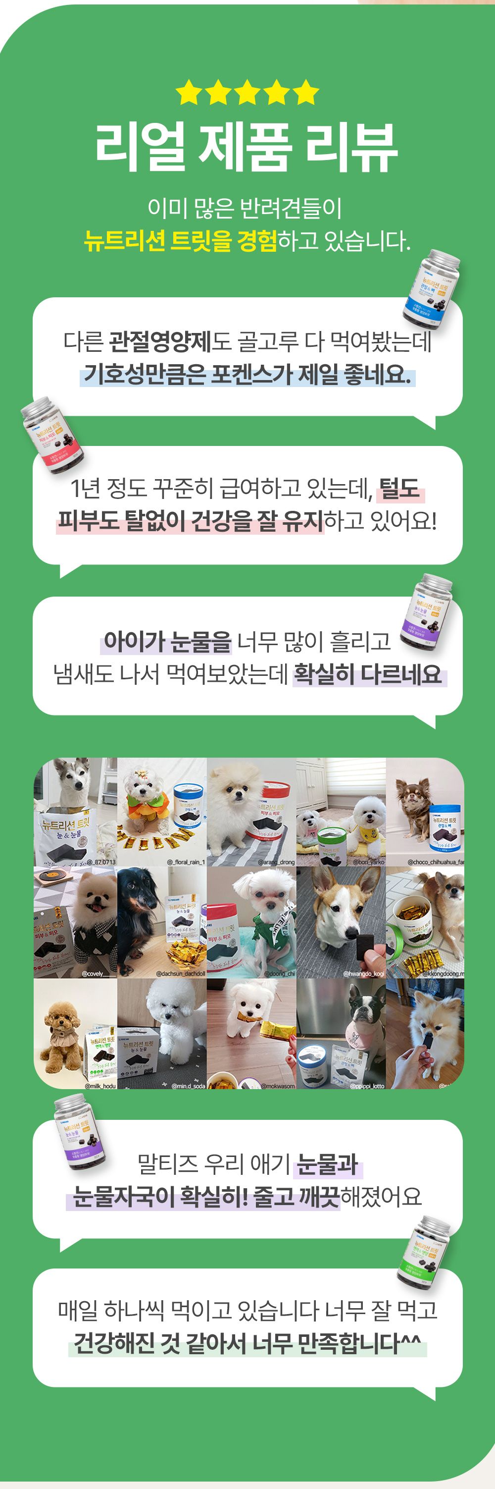 포켄스 독 NEW 뉴트리션 트릿 미니 피부&피모 168g 8번째