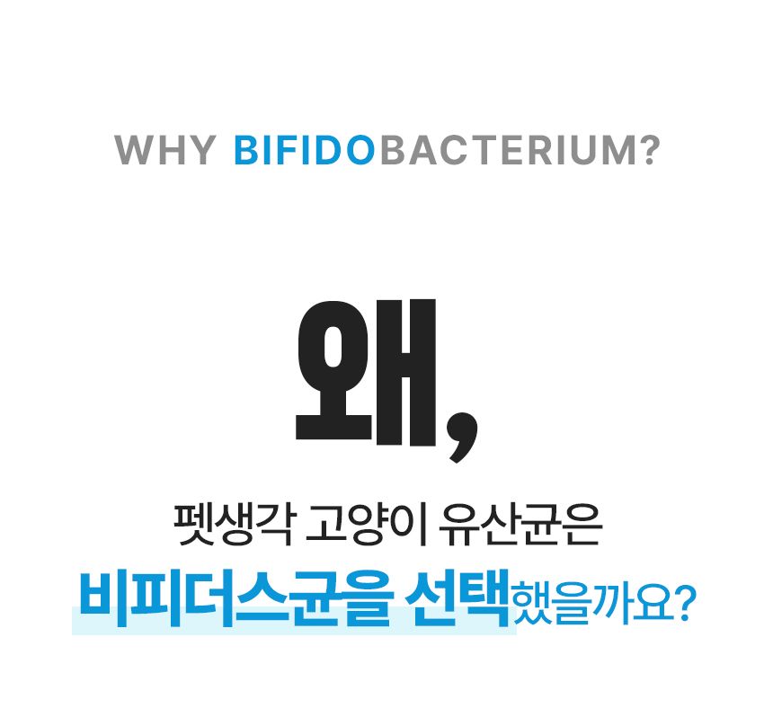 [창고대방출]펫생각 데일리케얼 콜라겐 캣 프로바이오틱스 고양이 유산균 60g 2번째