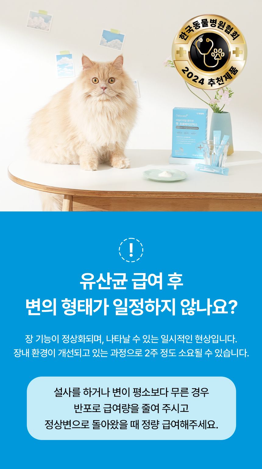 [창고대방출]펫생각 데일리케얼 콜라겐 캣 프로바이오틱스 고양이 유산균 60g 30번째