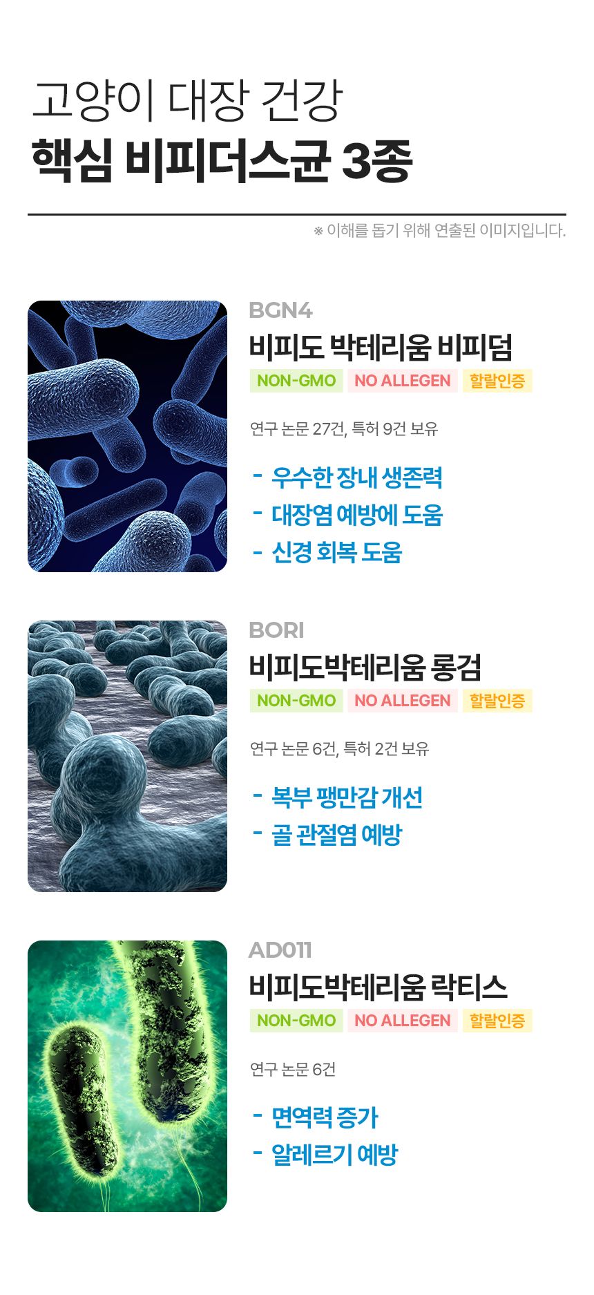 [창고대방출]펫생각 데일리케얼 콜라겐 캣 프로바이오틱스 고양이 유산균 60g 18번째