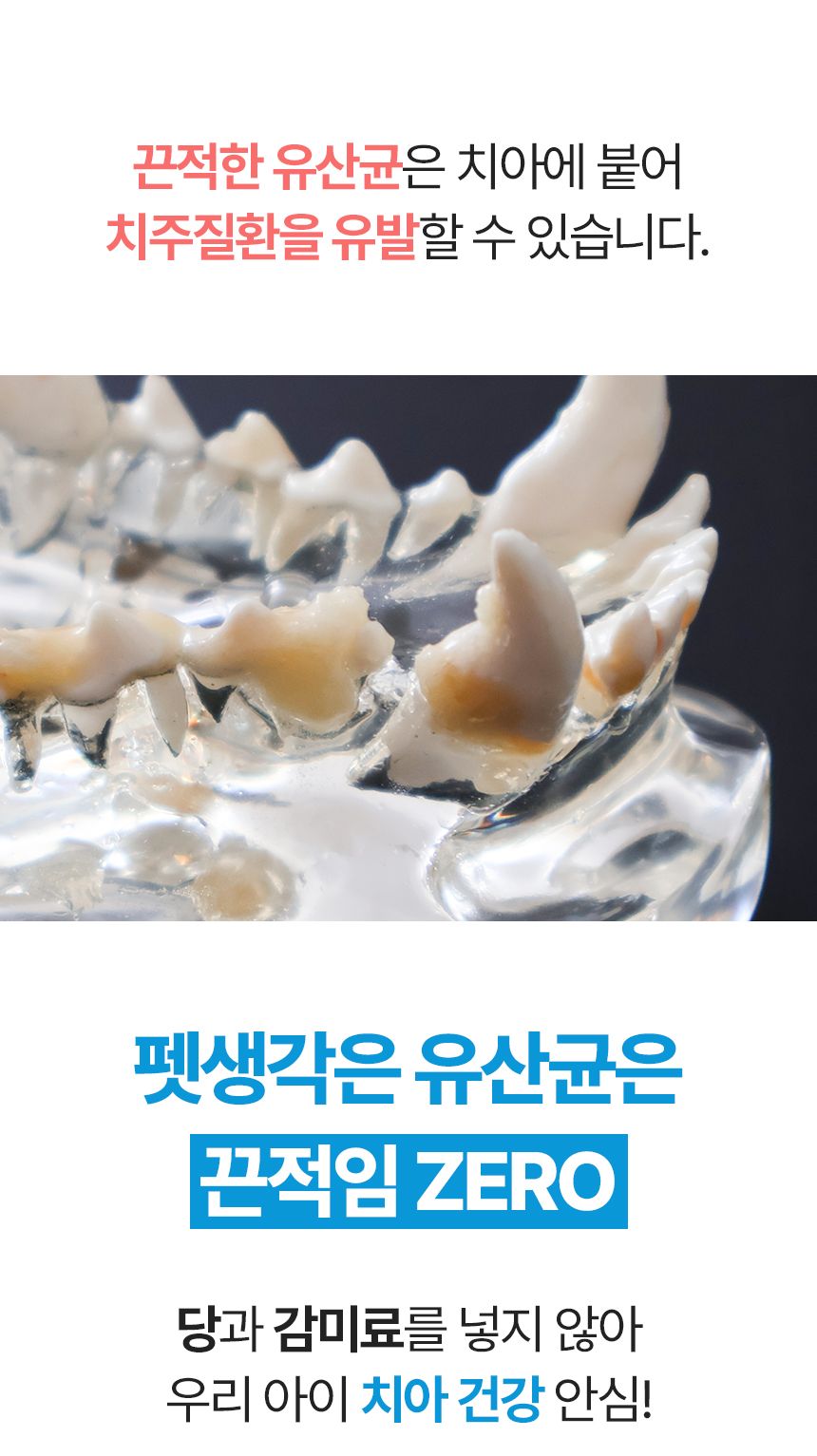 [창고대방출]펫생각 데일리케얼 콜라겐 캣 프로바이오틱스 고양이 유산균 60g 24번째