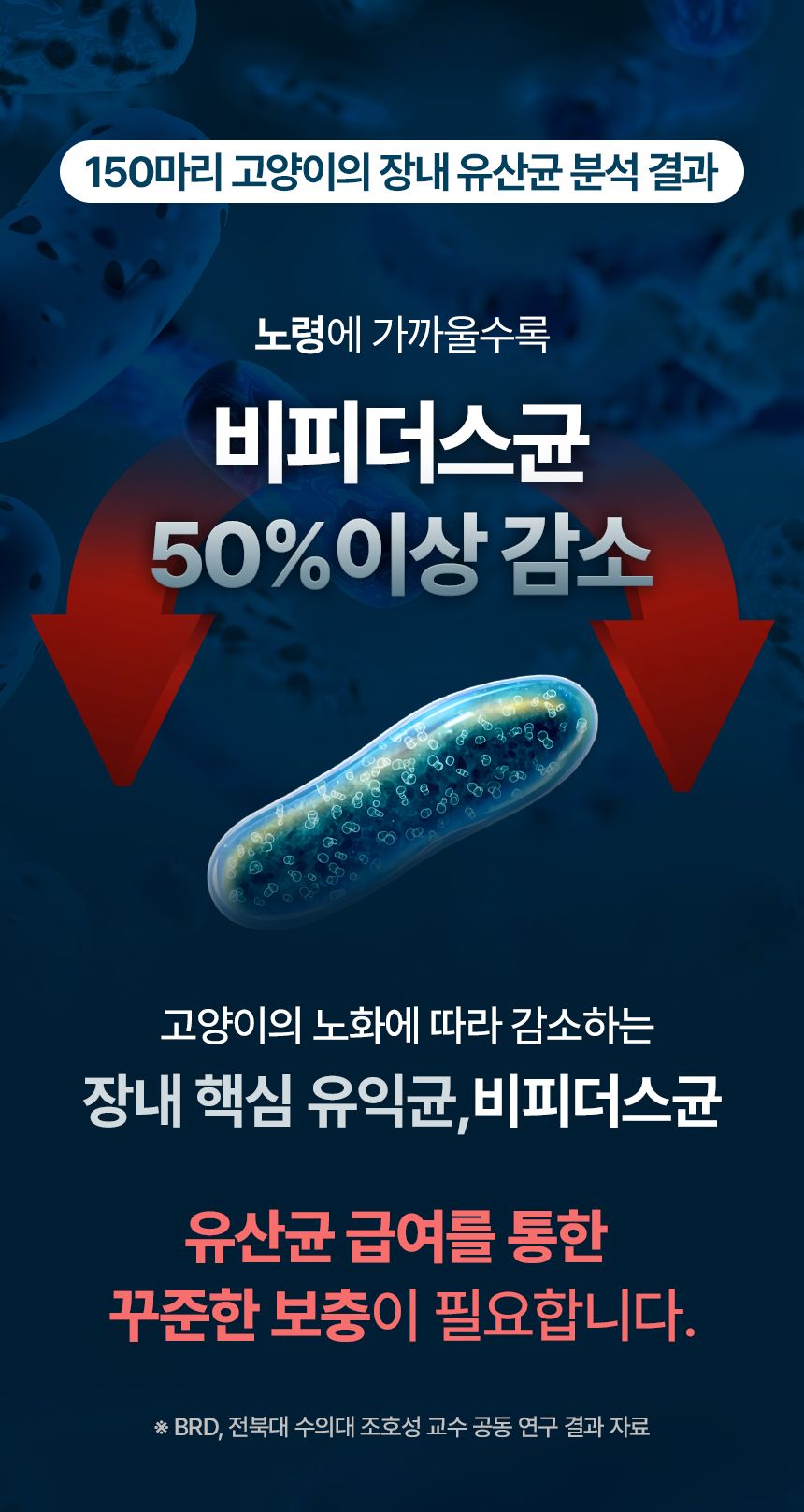 [창고대방출]펫생각 데일리케얼 콜라겐 캣 프로바이오틱스 고양이 유산균 60g 4번째