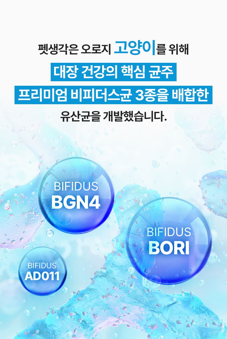 [창고대방출]펫생각 데일리케얼 콜라겐 캣 프로바이오틱스 고양이 유산균 60g 5번째