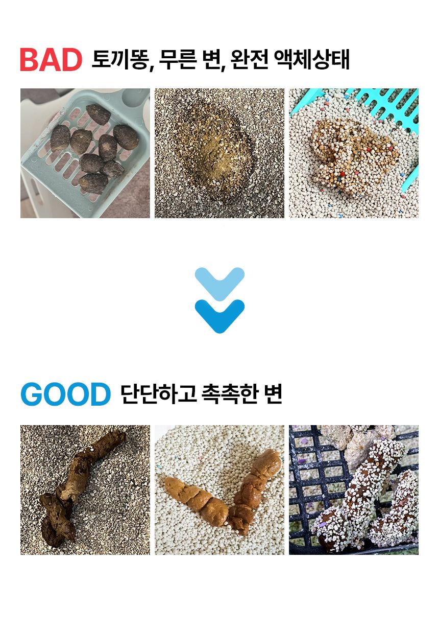 [창고대방출]펫생각 데일리케얼 콜라겐 캣 프로바이오틱스 고양이 유산균 60g 7번째
