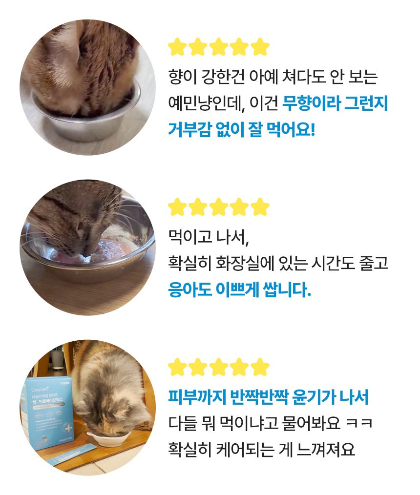 [창고대방출]펫생각 데일리케얼 콜라겐 캣 프로바이오틱스 고양이 유산균 60g 14번째