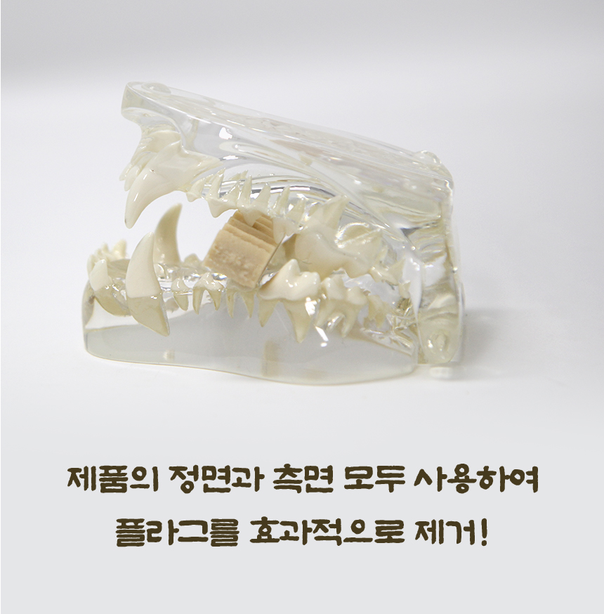 [NEW신상][무료배송] 데이스포 독 한삼인 덴탈클리닉 뷰티 200g 11번째
