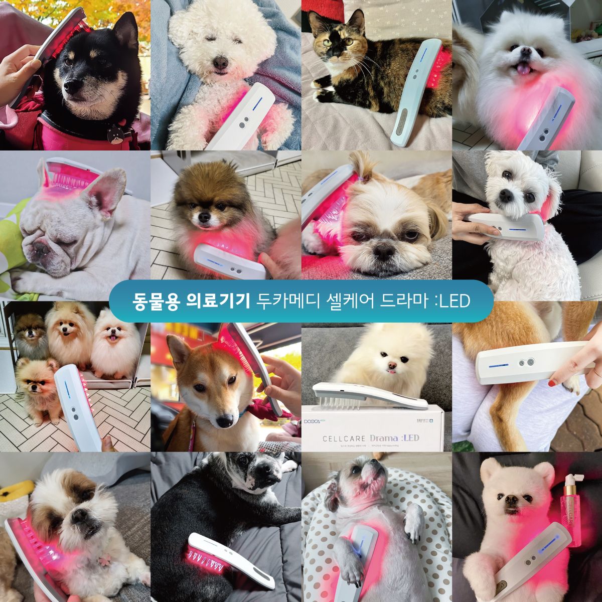 [무료배송] 두카메디 셀케어 드라마 LED  2번째