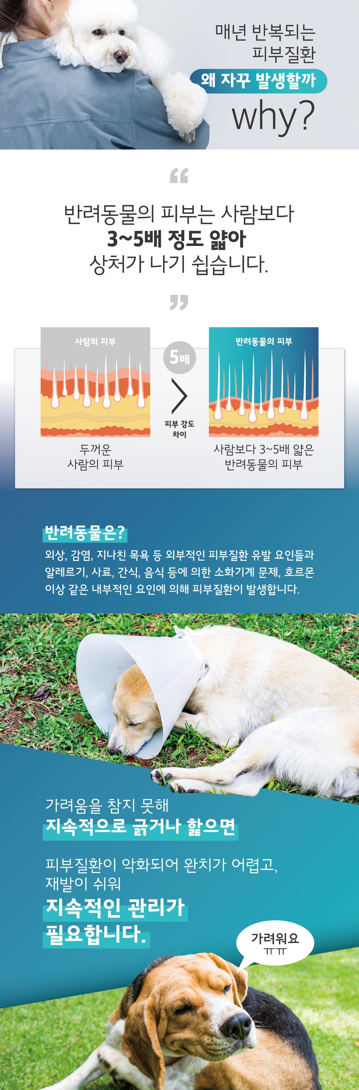 [무료배송] 두카메디 셀케어 드라마 LED  7번째