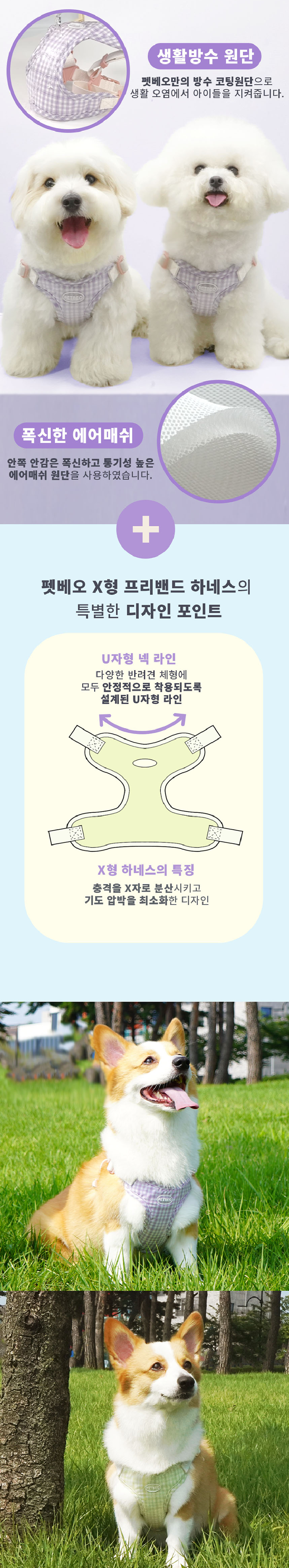 [무료배송] 펫베오 독 X형 방수 프리밴드 하네스 라임/퍼플 4번째