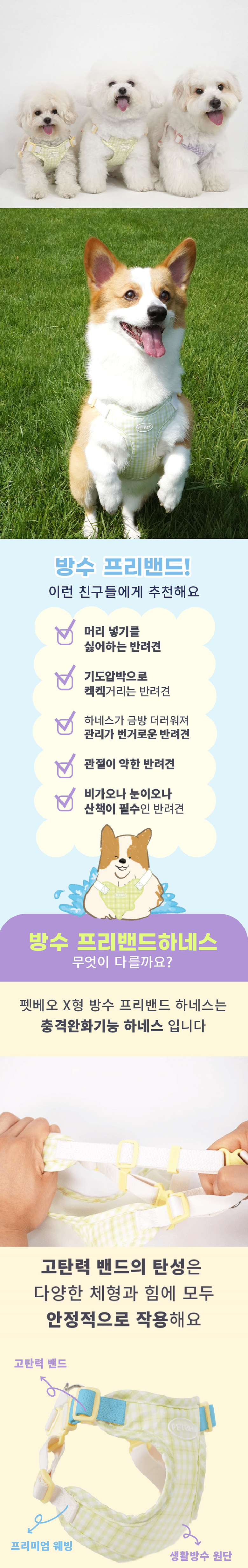 [무료배송] 펫베오 독 X형 방수 프리밴드 하네스 라임/퍼플 2번째