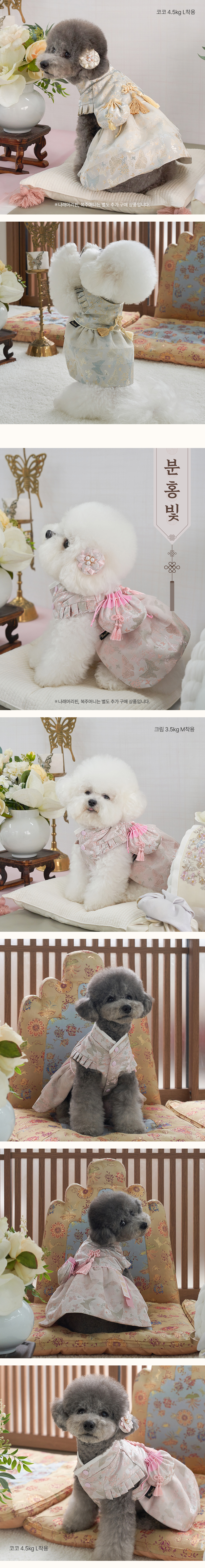 [NEW신상][무료배송] 베일리펫 강아지 명절 항균 고운나래 한복 S-2XL (노랑빛/분홍빛) 3번째