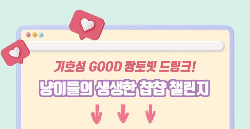 카토빗 캣 바이탈 드링크 4종 [모음] 7번째