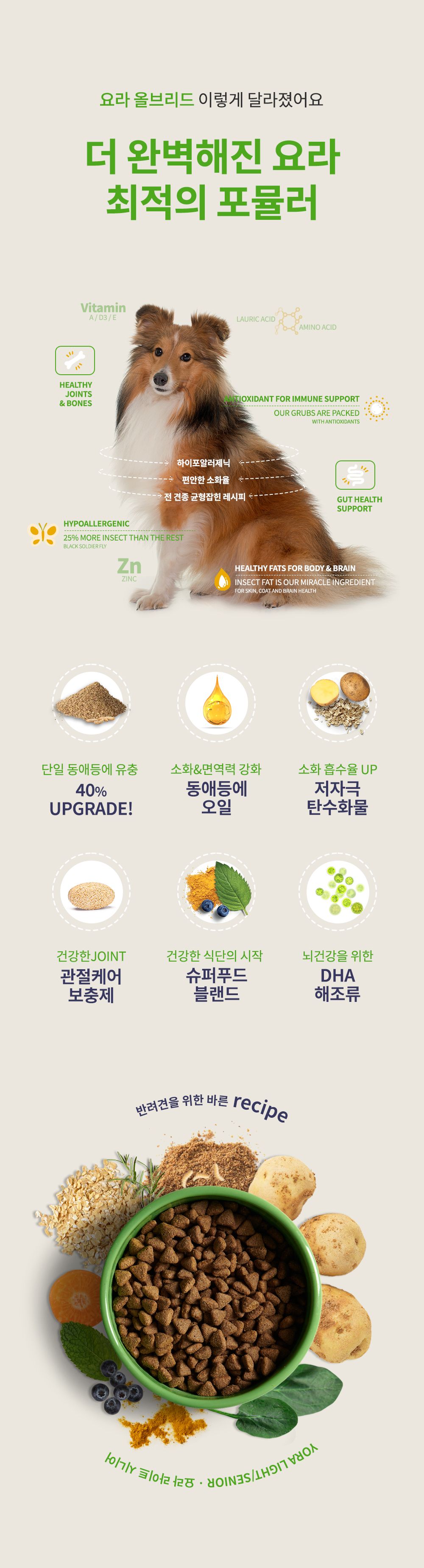 요라 독 올브리드 2.5kg 3번째
