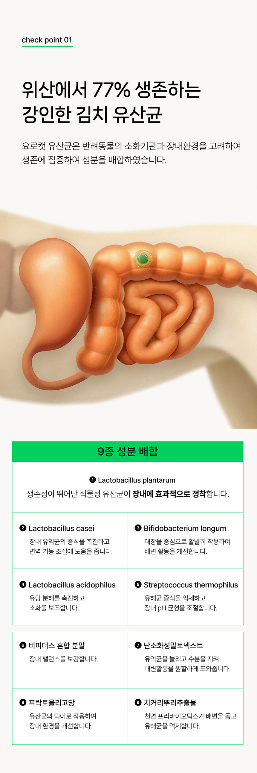 [NEW신상][무료배송] 요로캣 저당 유산균 60g (2g*30일) 4번째