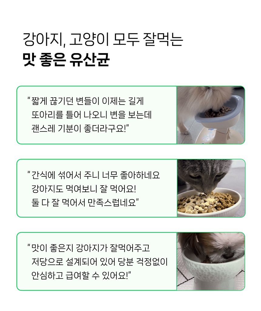 [NEW신상][무료배송] 요로캣 저당 유산균 60g (2g*30일) 11번째
