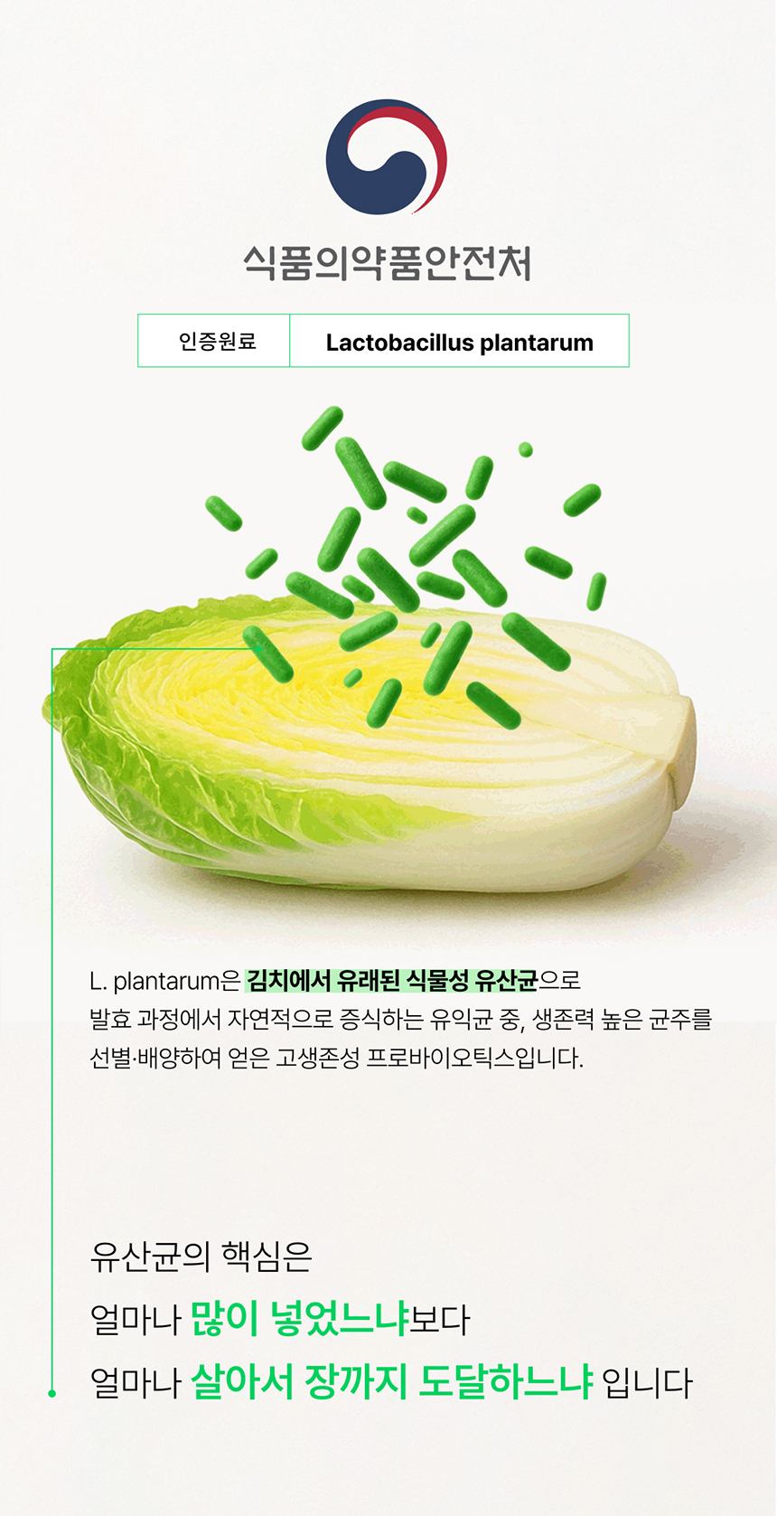 [NEW신상][무료배송] 요로캣 저당 유산균 60g (2g*30일) 5번째