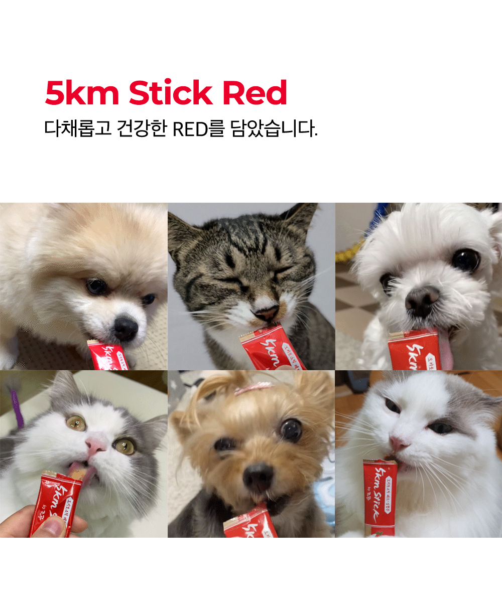 조공 오키로스틱 레드 14g*4p 1번째