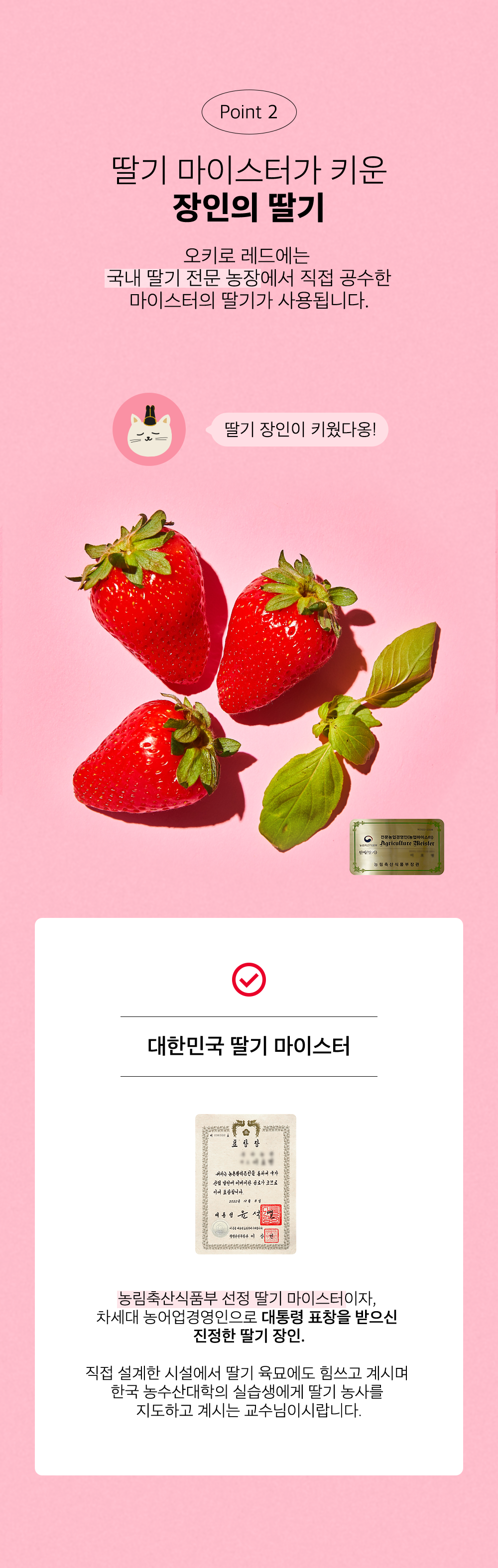 조공 오키로스틱 레드 14g*4p 7번째