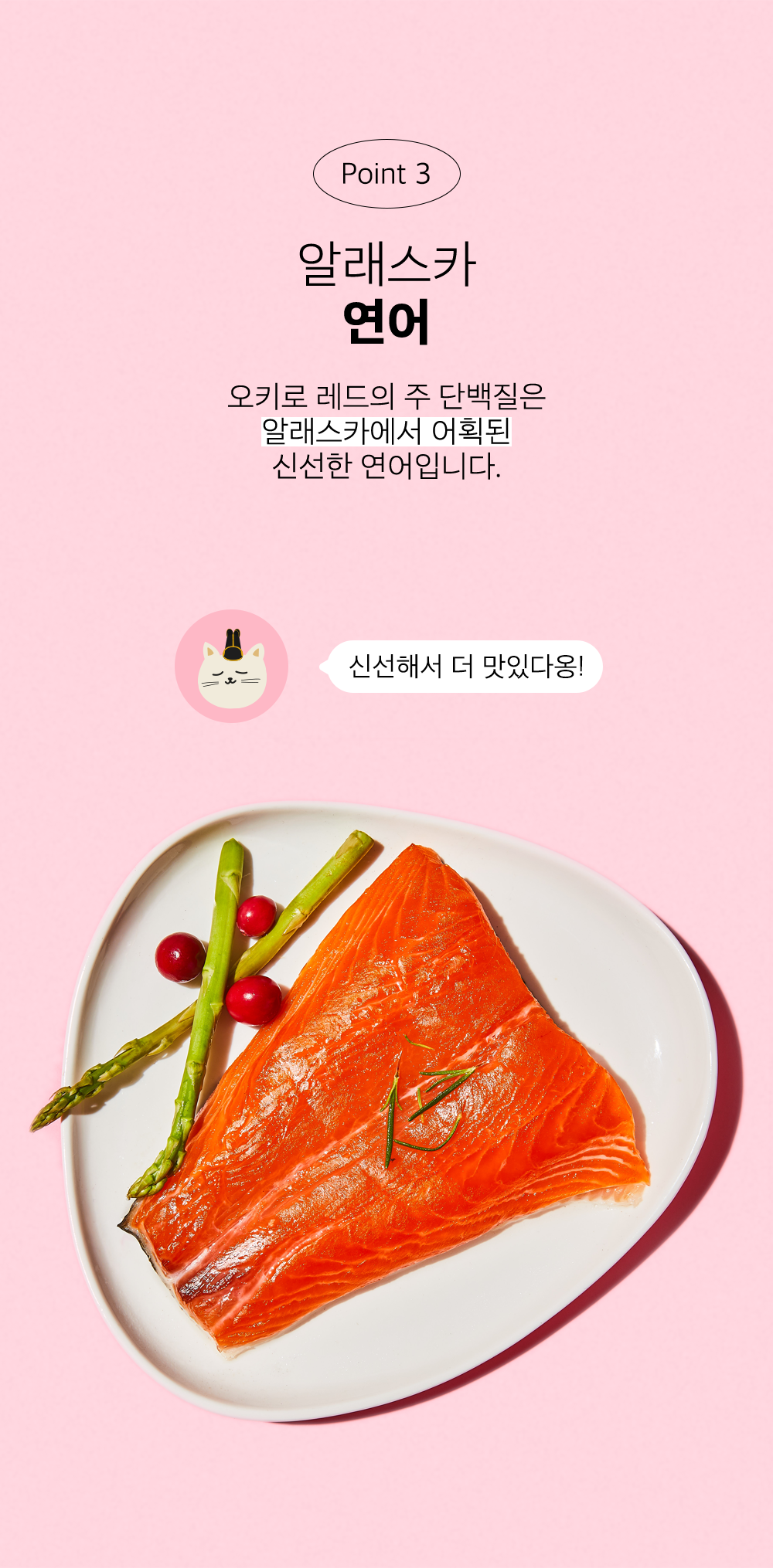 조공 오키로스틱 레드 14g*4p 9번째