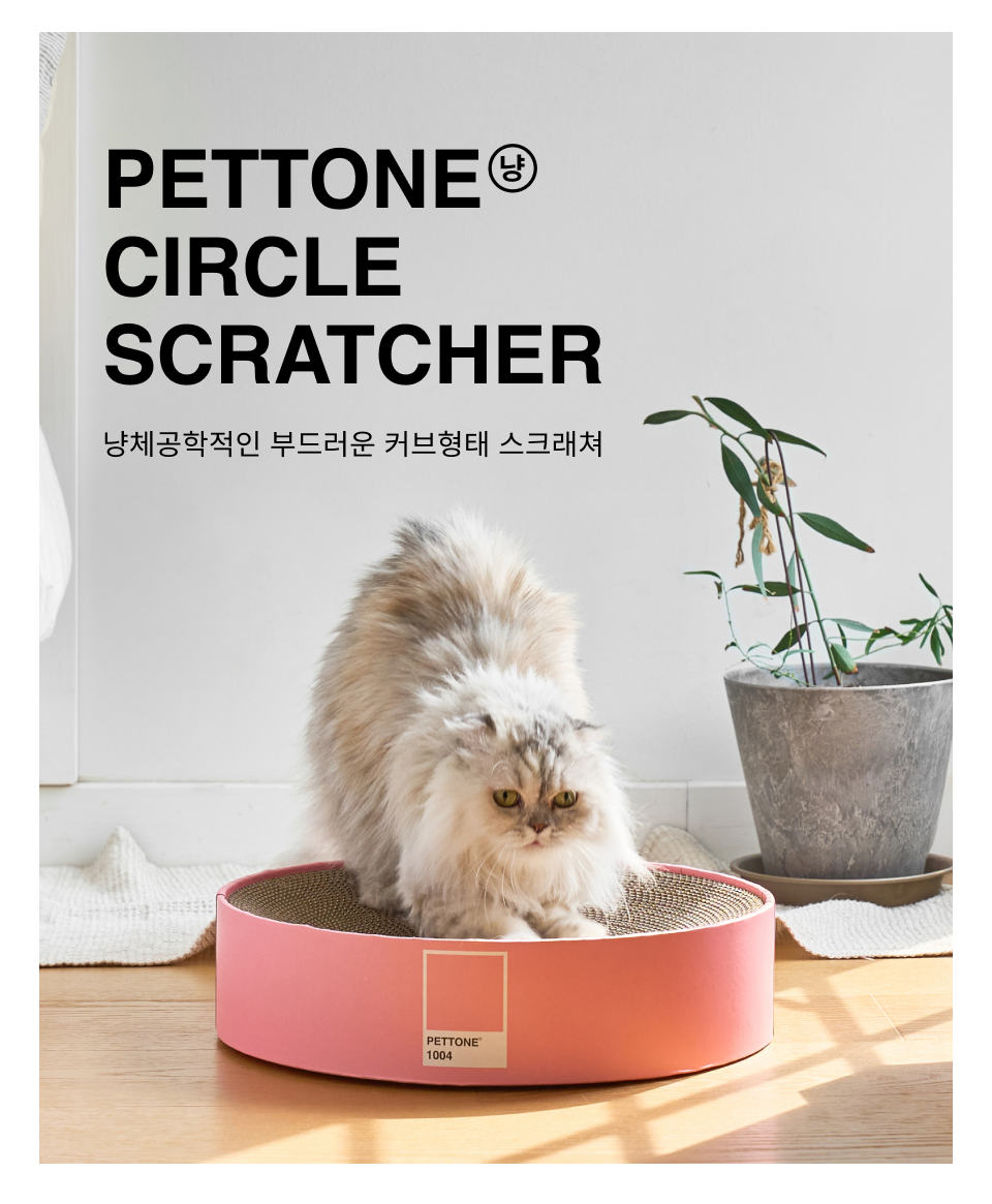 [NEW신상]펫톤 써클 스크래쳐 핑크 1번째