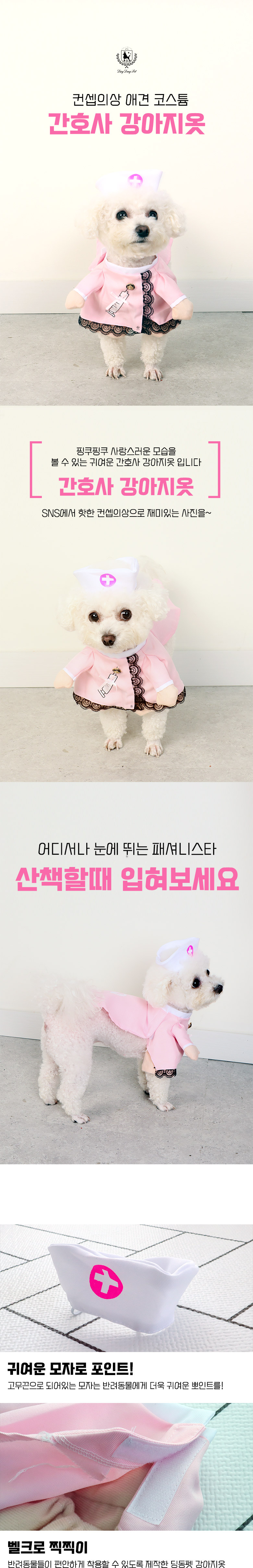 [무료배송] 딩동펫 반려동물 코스튬 의상 간호사 S-XL 1번째