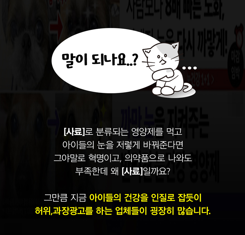 [무료배송] 아띠지기 독 아이즈케어 영양제 8g*30p 3번째