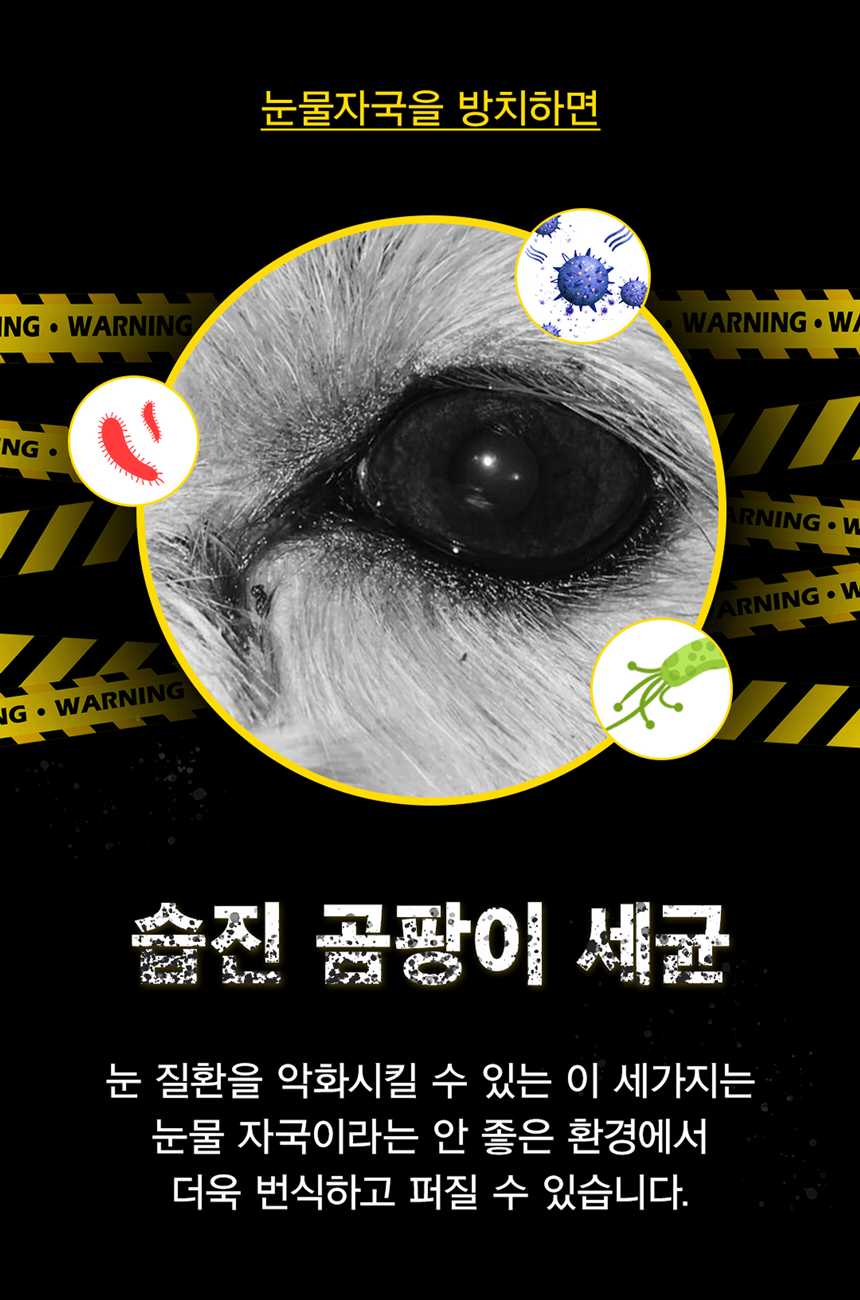 [무료배송] 아띠지기 독 아이즈케어 영양제 8g*30p 13번째