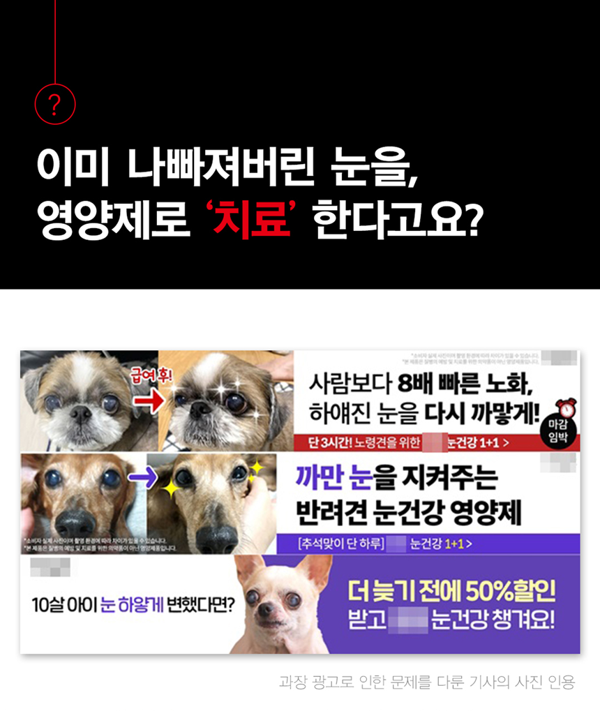 [무료배송] 아띠지기 독 아이즈케어 영양제 8g*30p 2번째