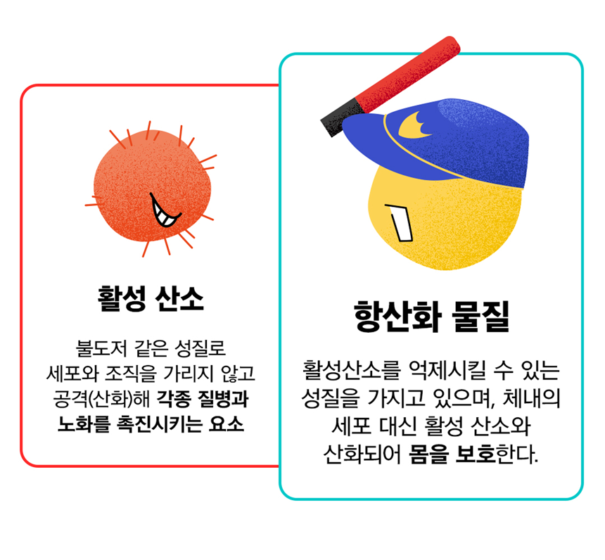 [무료배송] 아띠지기 독 아이즈케어 영양제 8g*30p 39번째