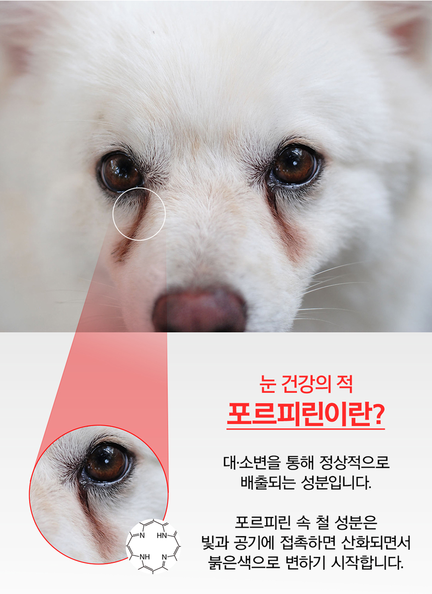 [무료배송] 아띠지기 독 아이즈케어 영양제 8g*30p 17번째