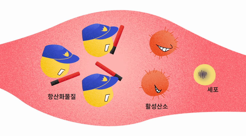 [무료배송] 아띠지기 독 아이즈케어 영양제 8g*30p 38번째