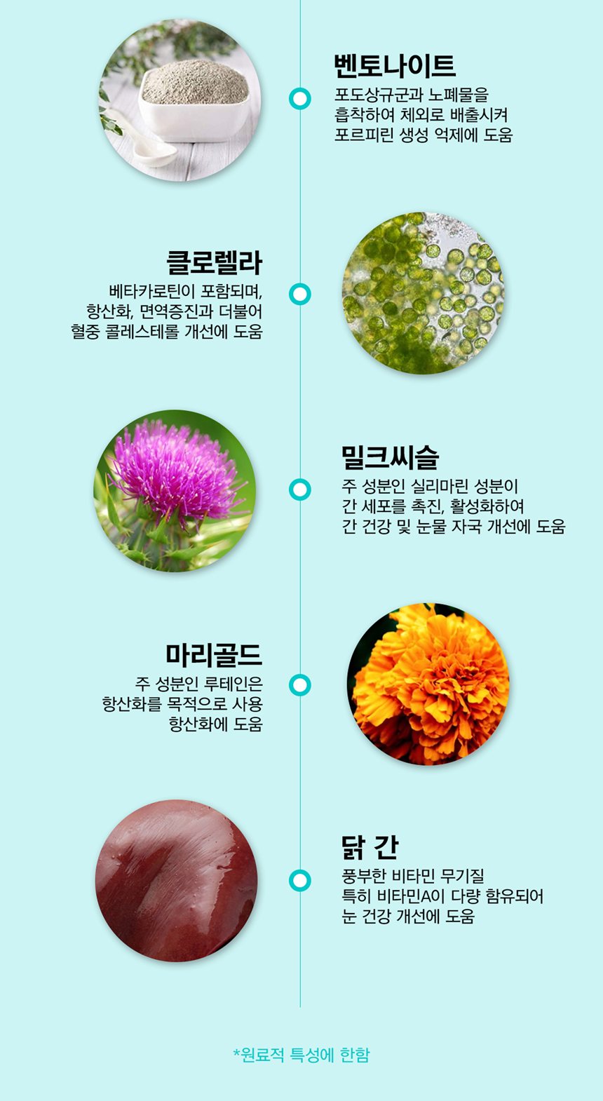 [무료배송] 아띠지기 독 아이즈케어 영양제 8g*30p 36번째