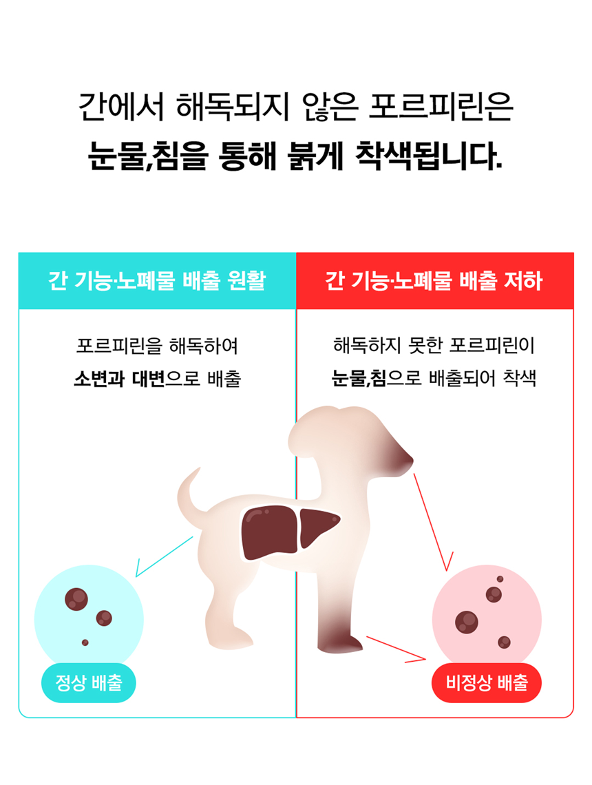 [무료배송] 아띠지기 독 아이즈케어 영양제 8g*30p 20번째