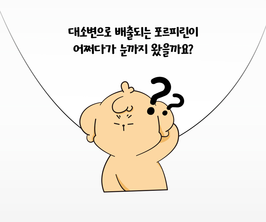 [무료배송] 아띠지기 독 아이즈케어 영양제 8g*30p 18번째