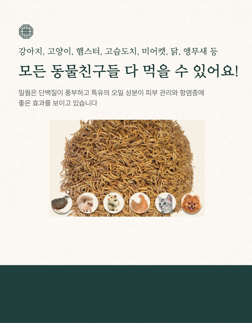 [NEW신상][무료배송] 키니즈 건조밀웜 150g 8번째