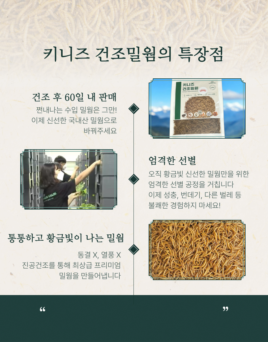 [NEW신상][무료배송] 키니즈 건조밀웜 150g 3번째